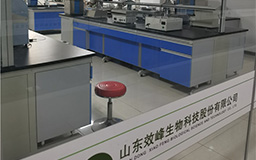 集團環境